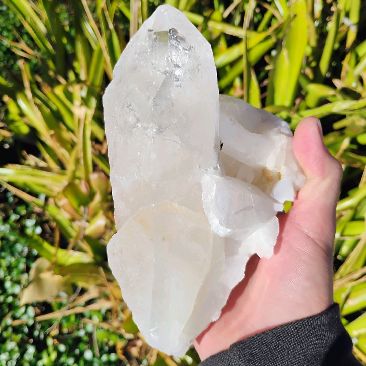 Columbian Lemurian Quartz