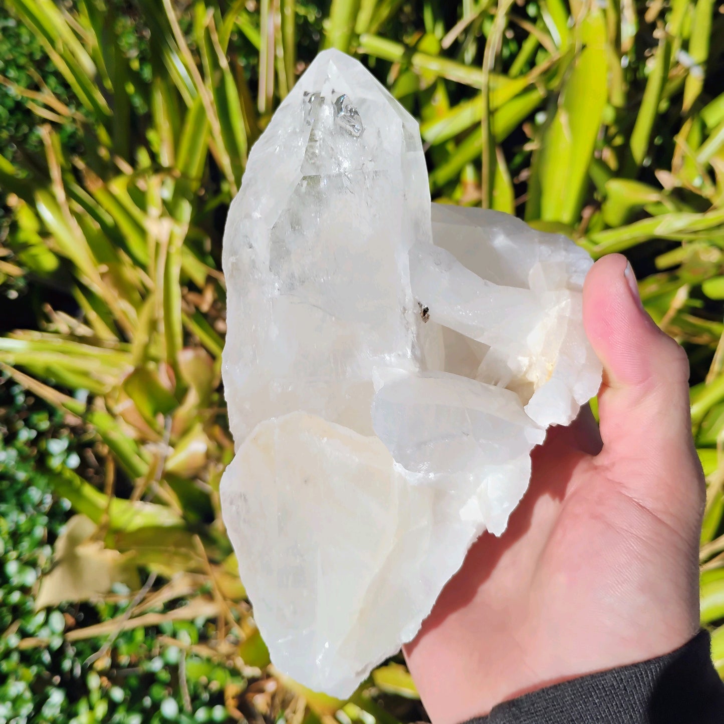 Columbian Lemurian Quartz