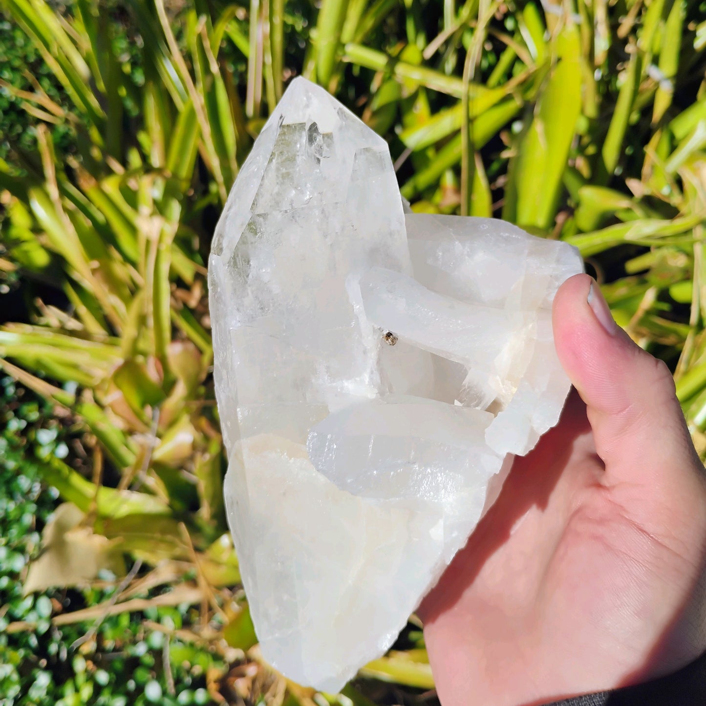 Columbian Lemurian Quartz