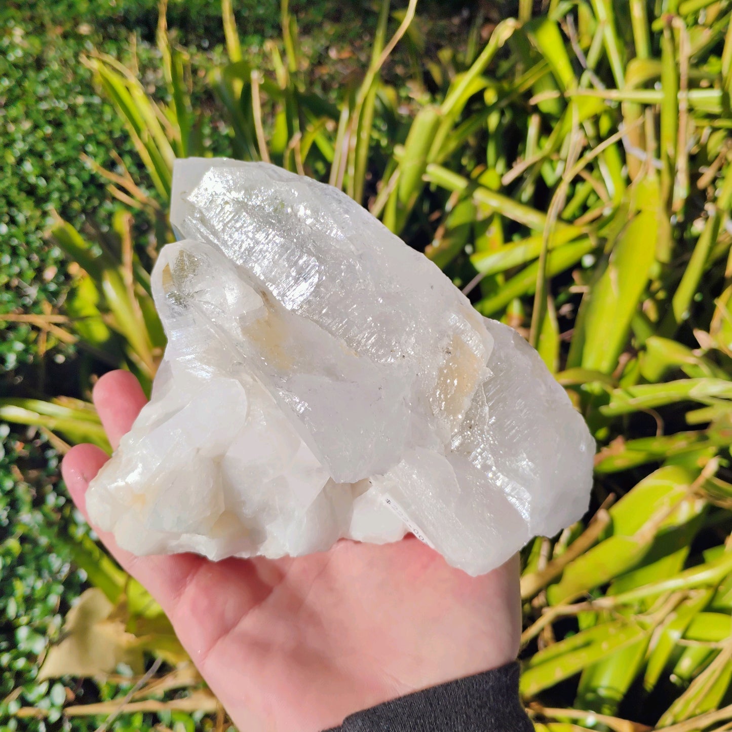 Columbian Lemurian Quartz