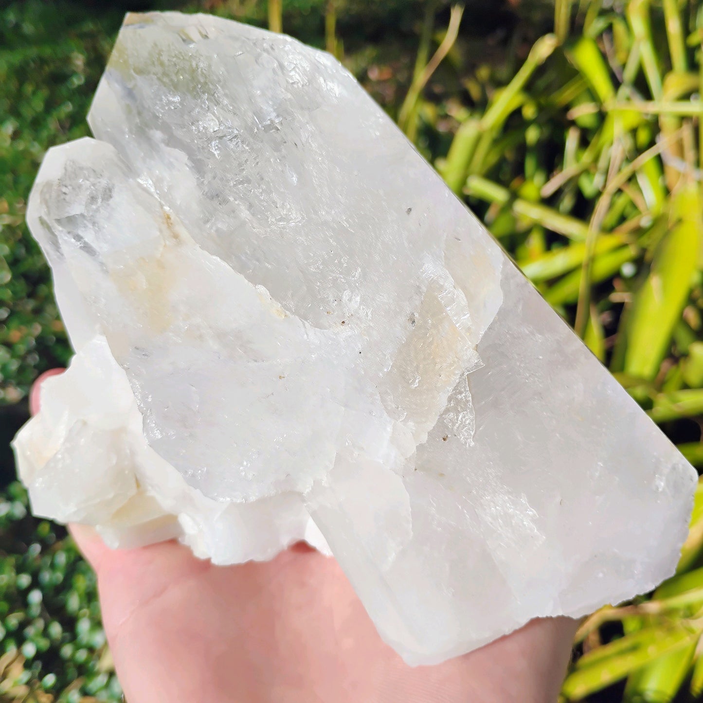 Columbian Lemurian Quartz