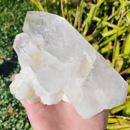 Columbian Lemurian Quartz