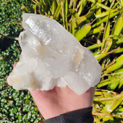 Columbian Lemurian Quartz