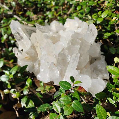 Columbian Lemurian Quartz