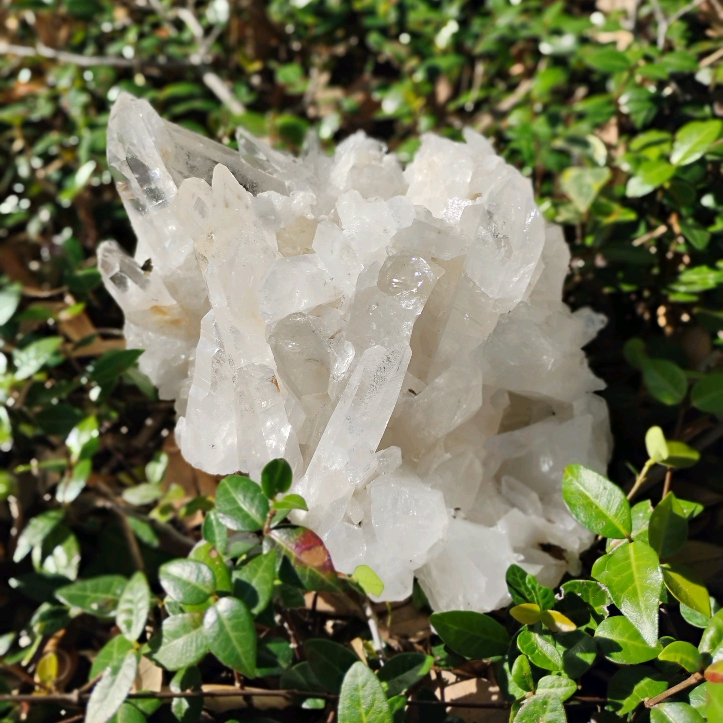 Columbian Lemurian Quartz