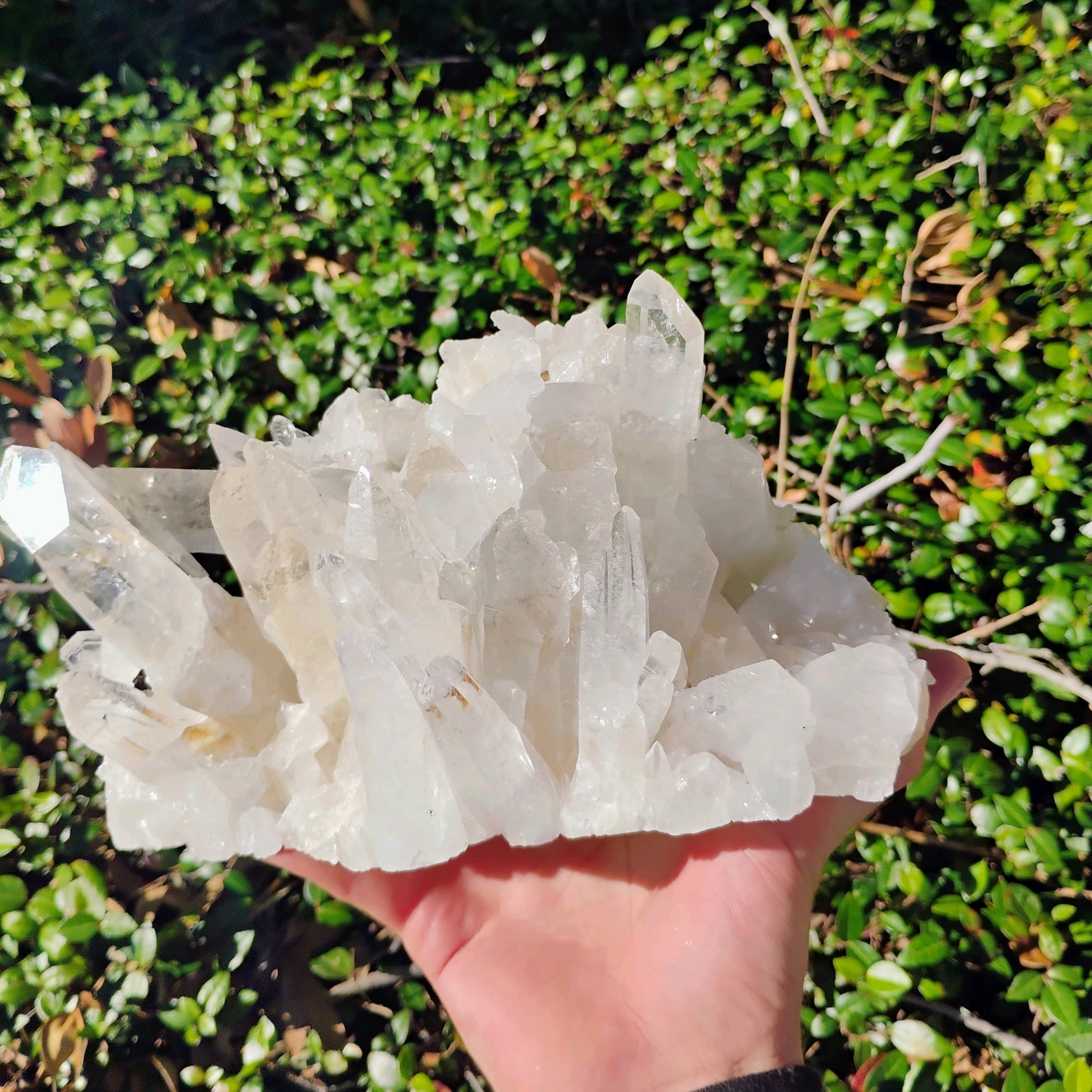 Columbian Lemurian Quartz