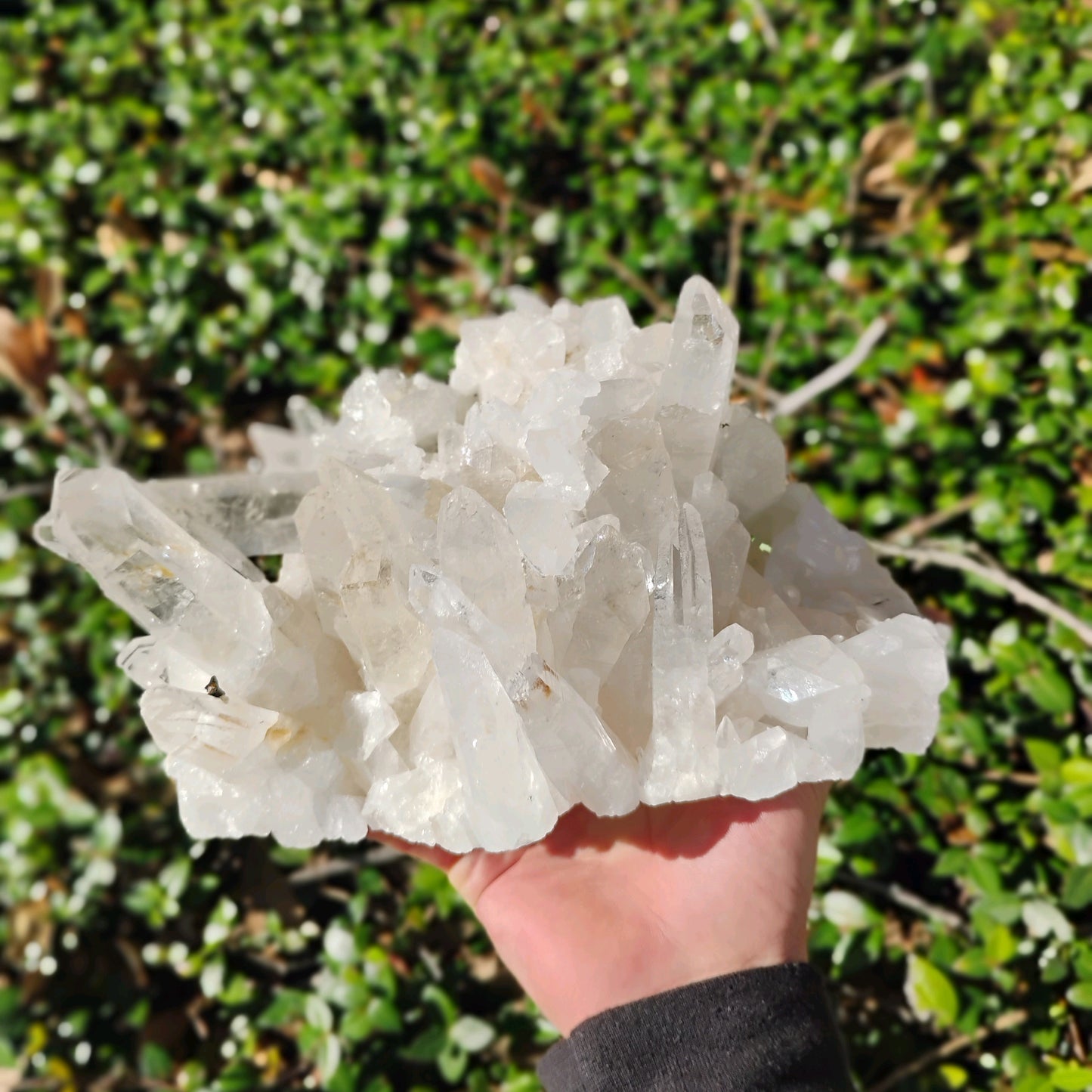 Columbian Lemurian Quartz