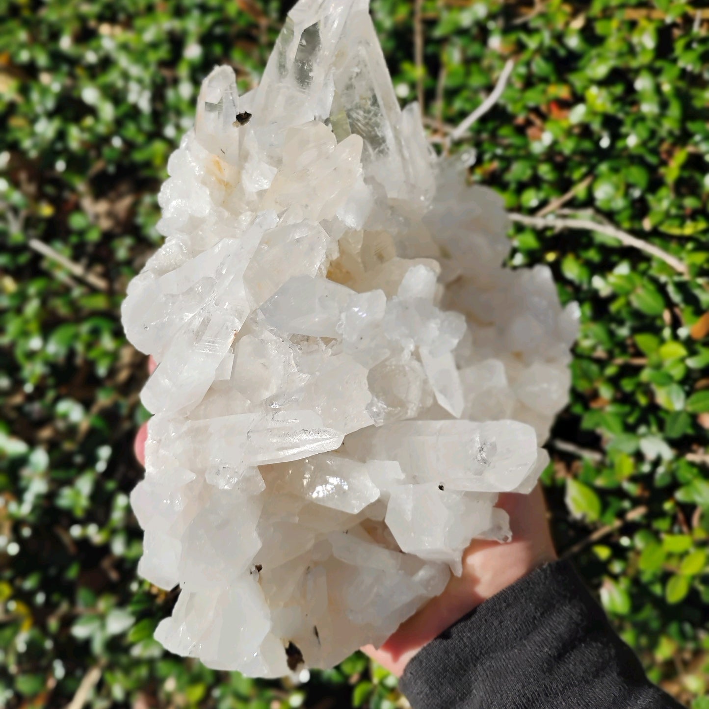 Columbian Lemurian Quartz