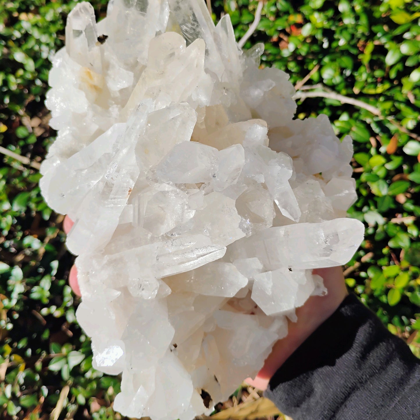 Columbian Lemurian Quartz