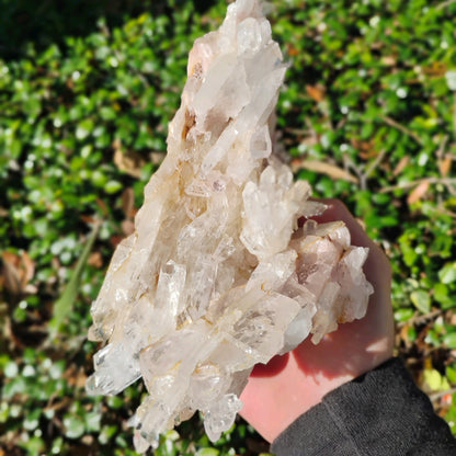 Columbian Lemurian Quartz