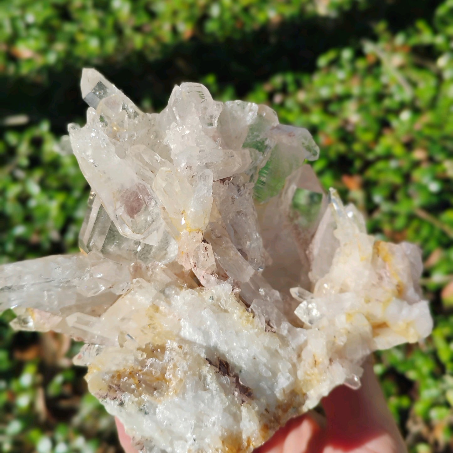 Columbian Lemurian Quartz