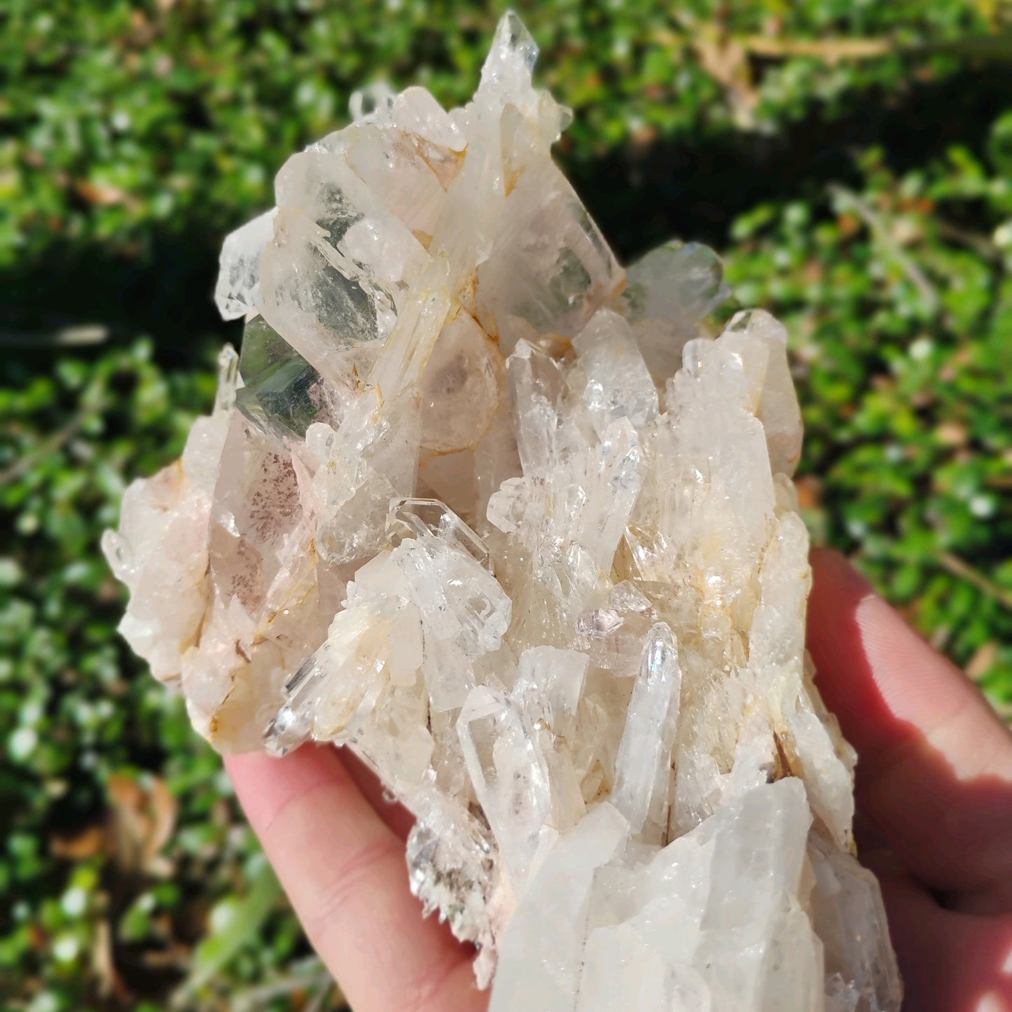 Columbian Lemurian Quartz