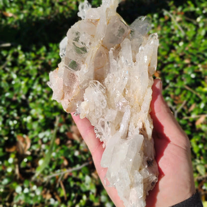 Columbian Lemurian Quartz