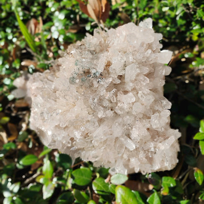 Columbian Lemurian Quartz