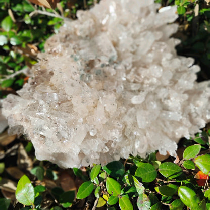 Columbian Lemurian Quartz