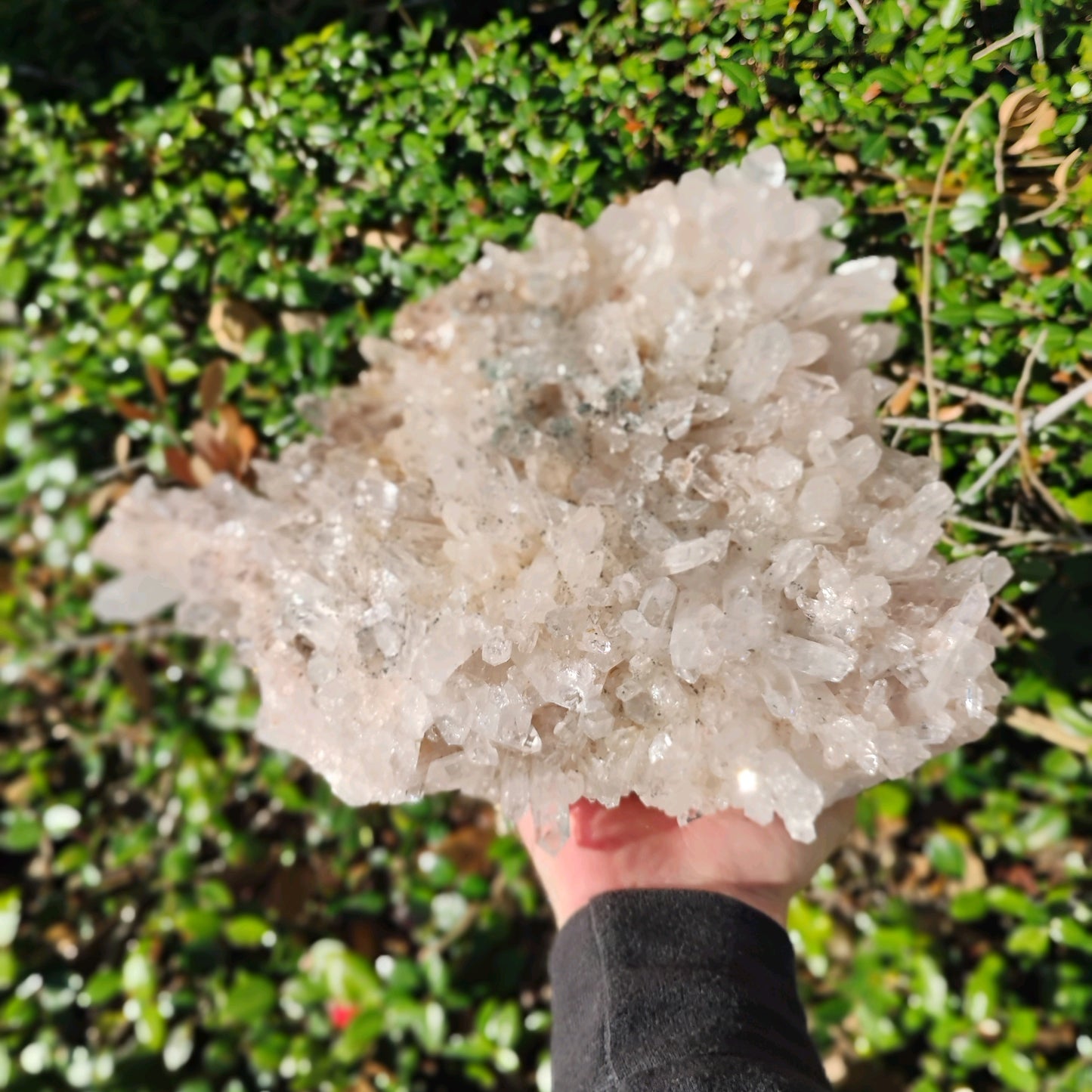 Columbian Lemurian Quartz