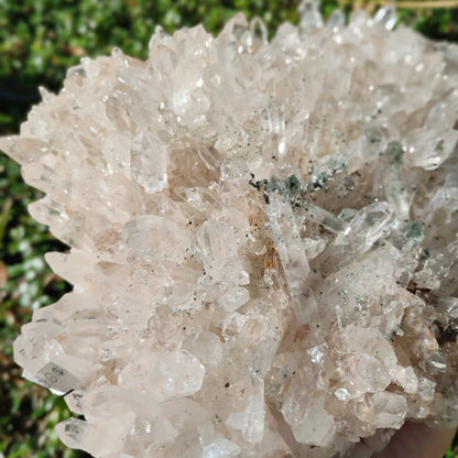 Columbian Lemurian Quartz