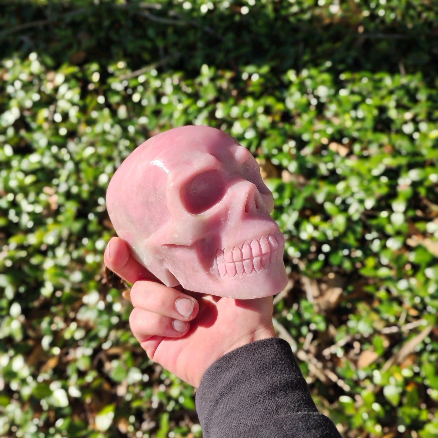 Pink Opal Skull