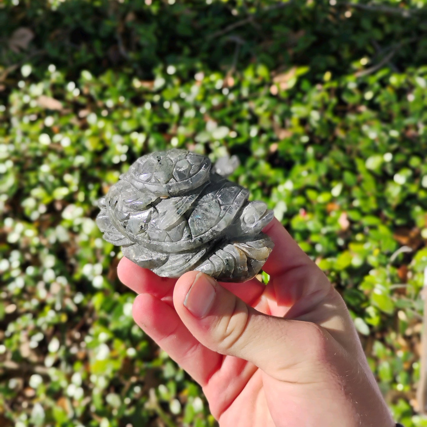 Hand Carved Laboradorite Turtle