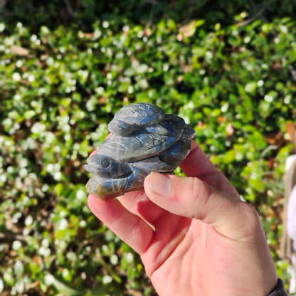 Hand Carved Laboradorite Turtle