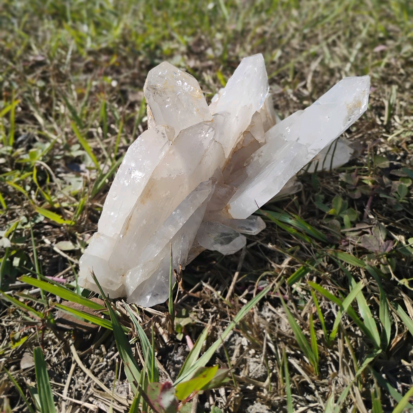 Columbian Lemurian Quartz