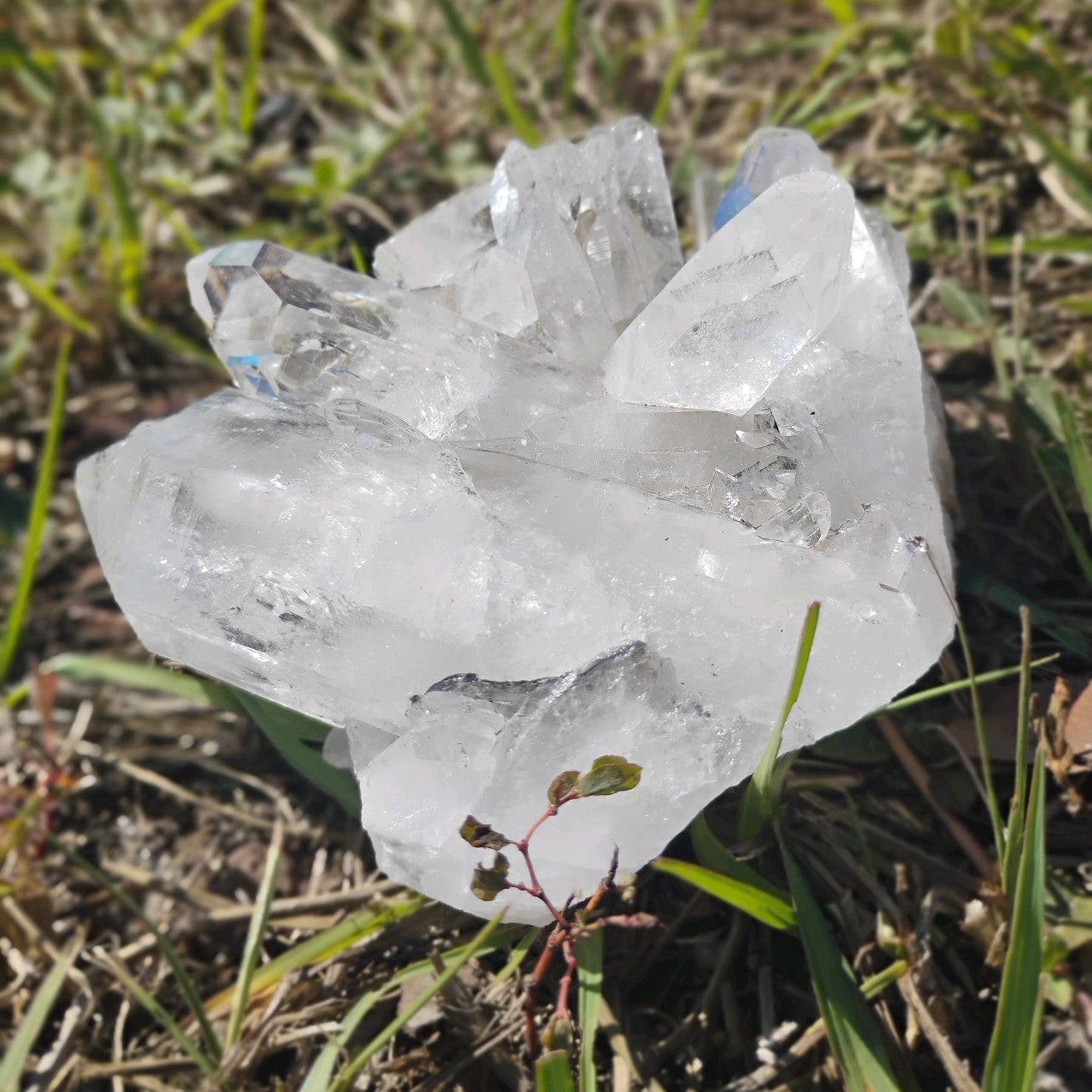 Columbian Lemurian Quartz