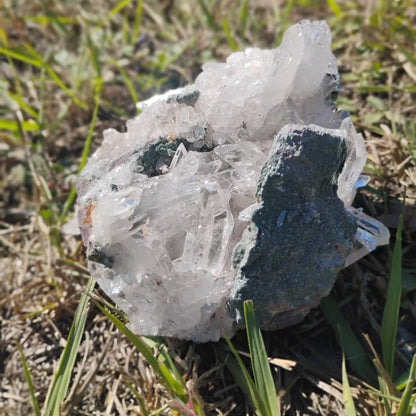 Columbian Lemurian Quartz