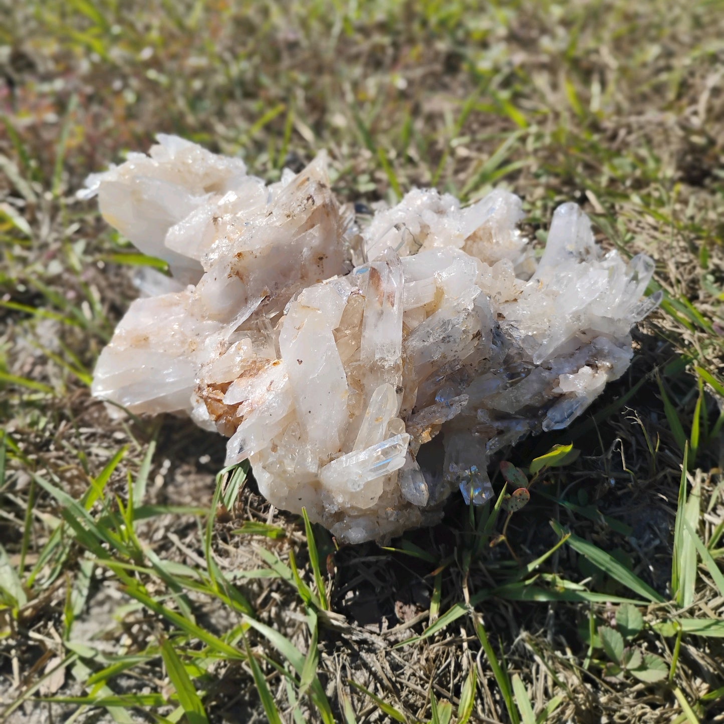 Columbian Lemurian Quartz