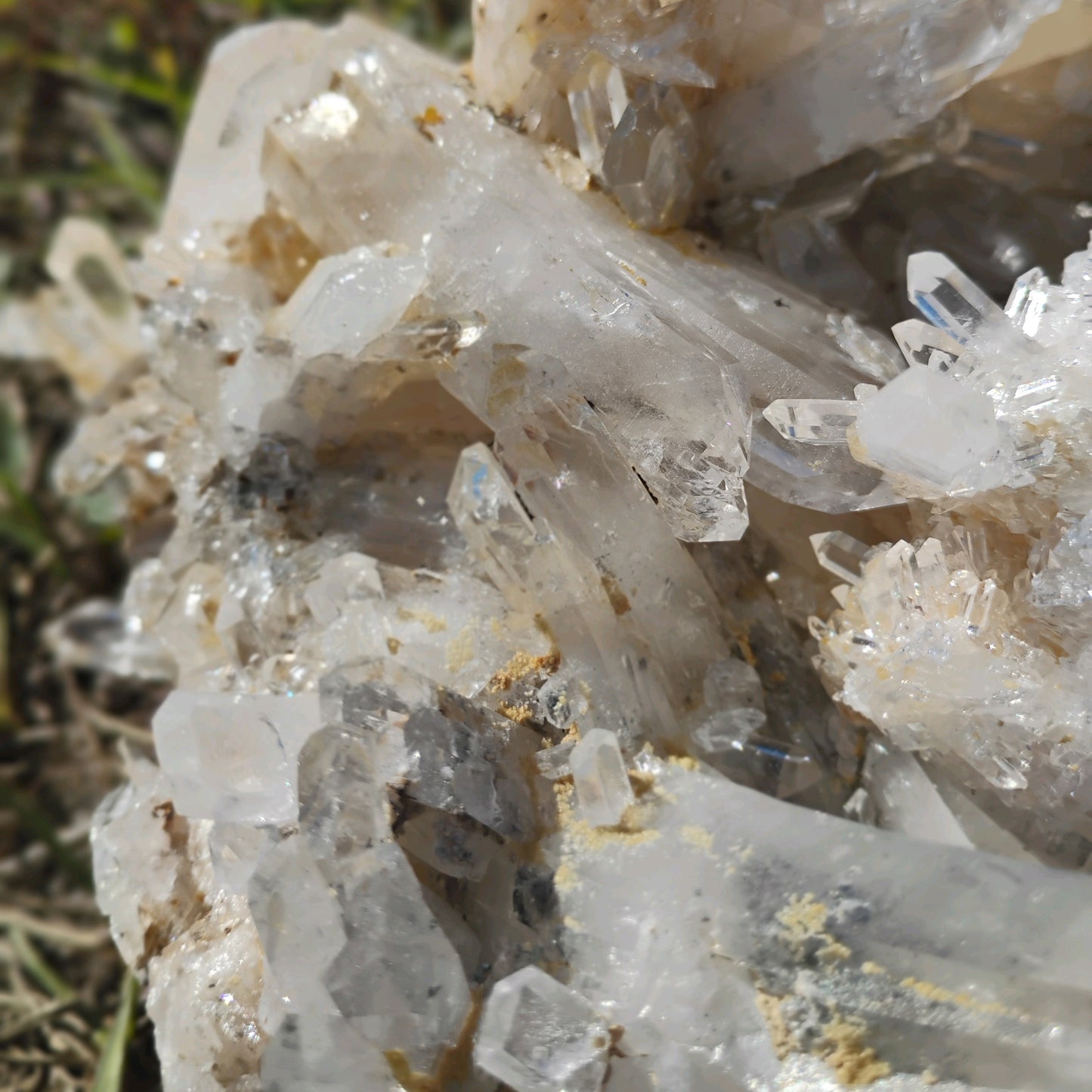 Columbian Lemurian Quartz