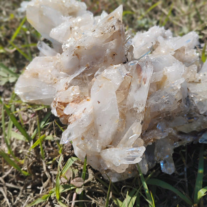 Columbian Lemurian Quartz