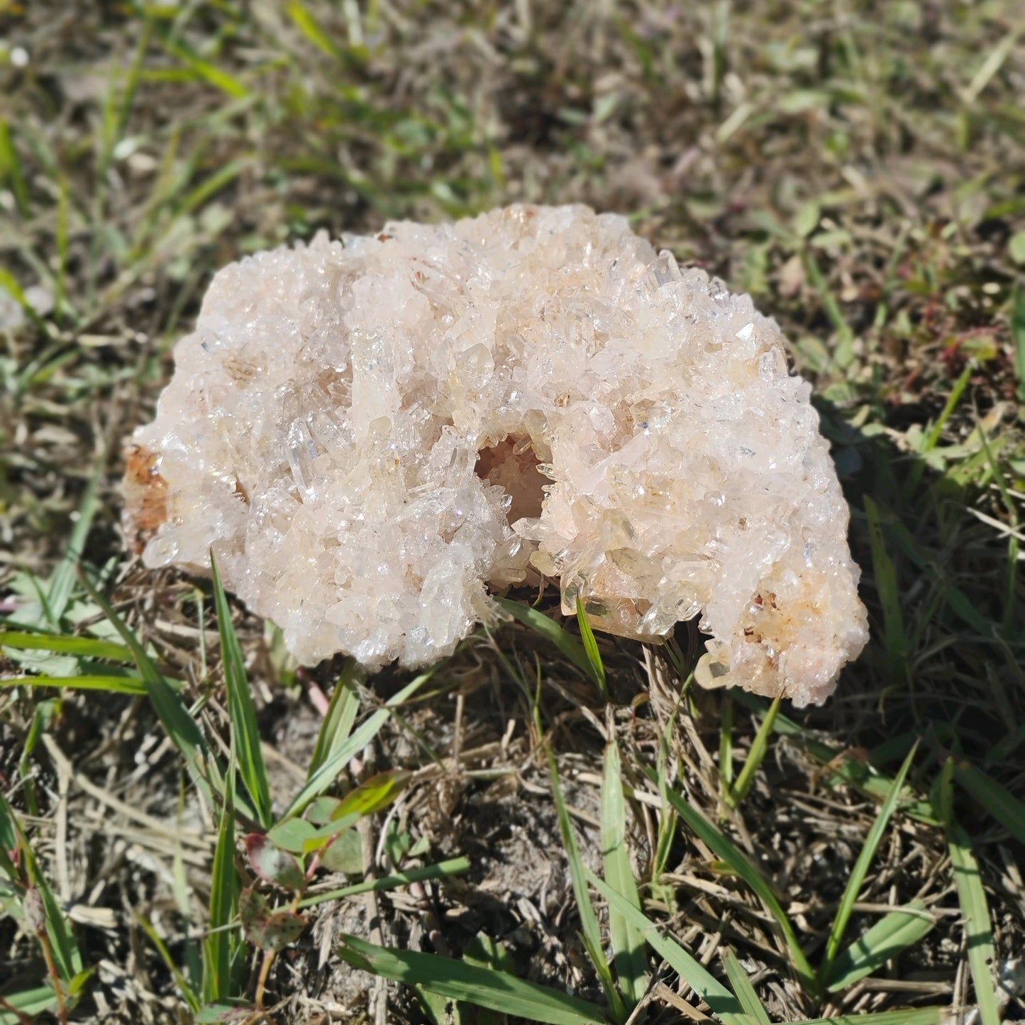 Columbian Lemurian Quartz