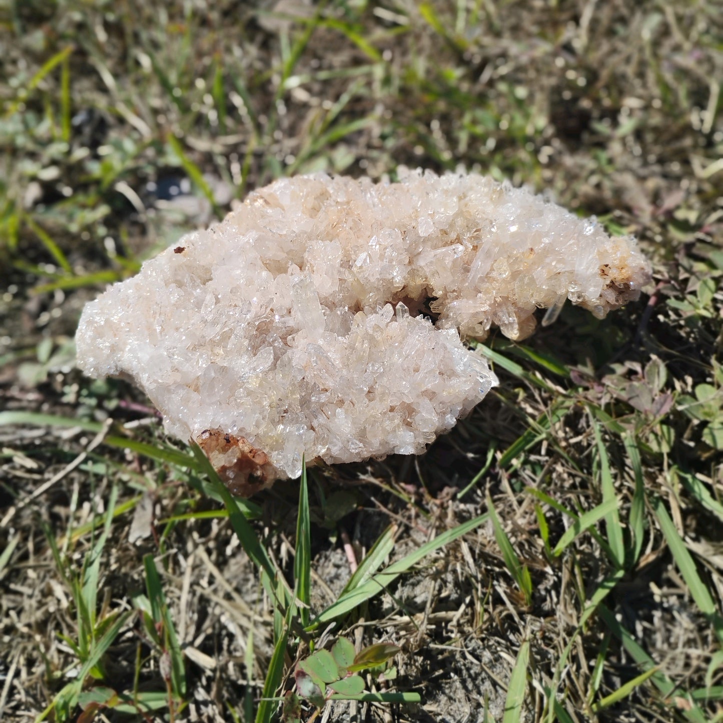 Columbian Lemurian Quartz