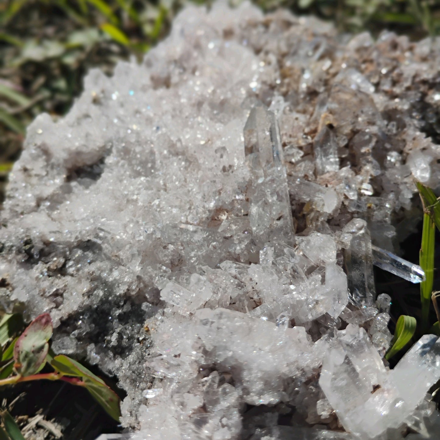 Columbian Lemurian Quartz