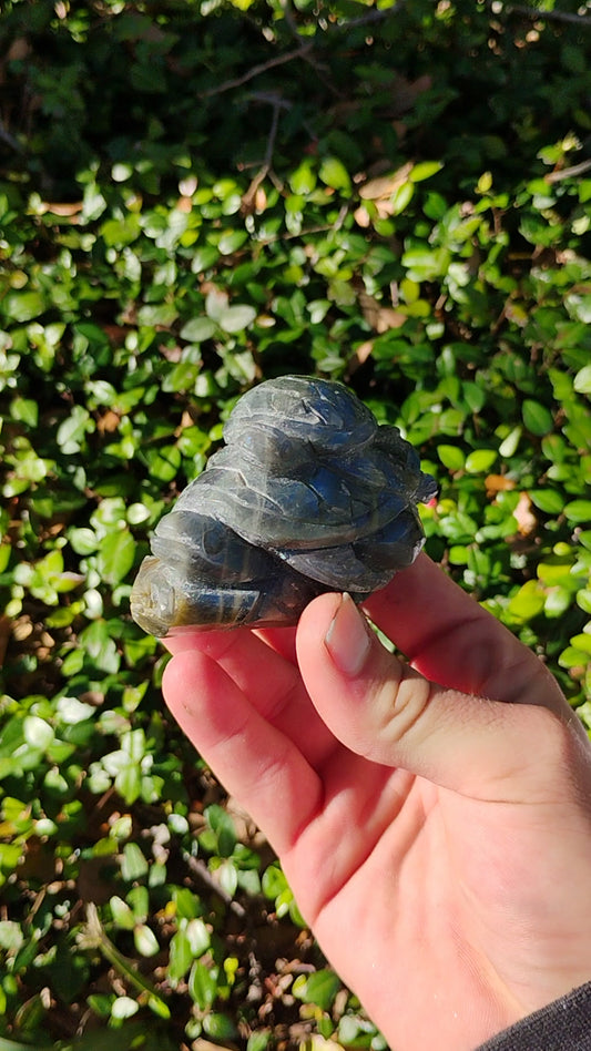 Hand Carved Laboradorite Turtle