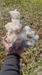 Columbian Lemurian Quartz