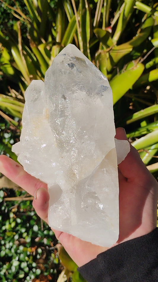 Columbian Lemurian Quartz