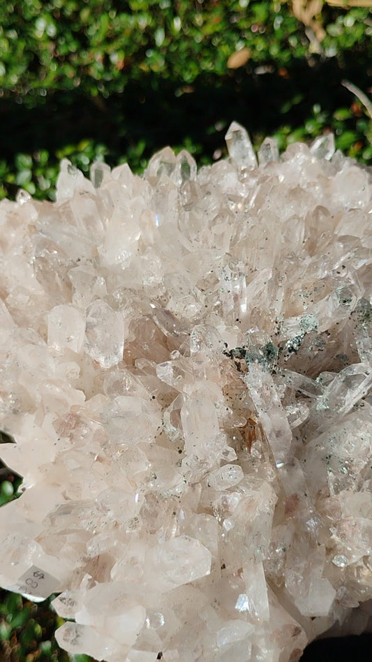 Columbian Lemurian Quartz