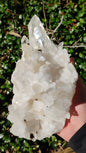 Columbian Lemurian Quartz