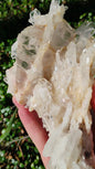 Columbian Lemurian Quartz